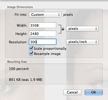 html image scale down